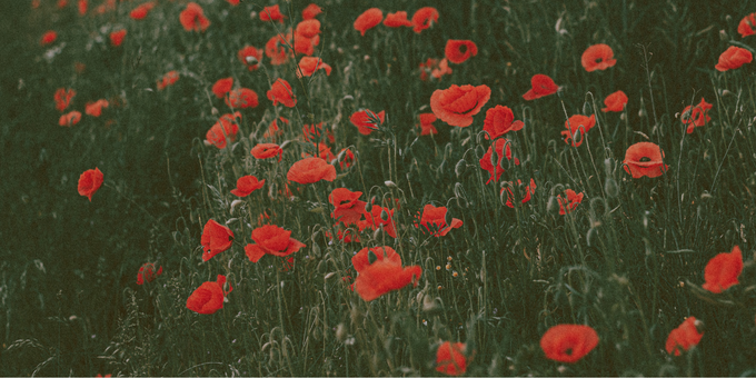 4 Crucial Signs of Iron Deficiency