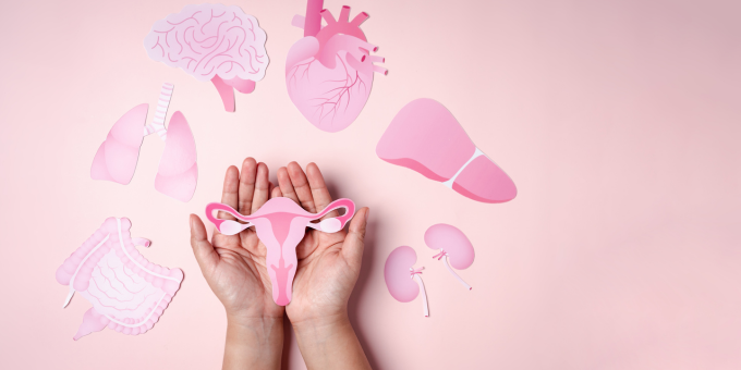 5 Things Adenomyosis and Endometriosis Share and 5 Things They Don't