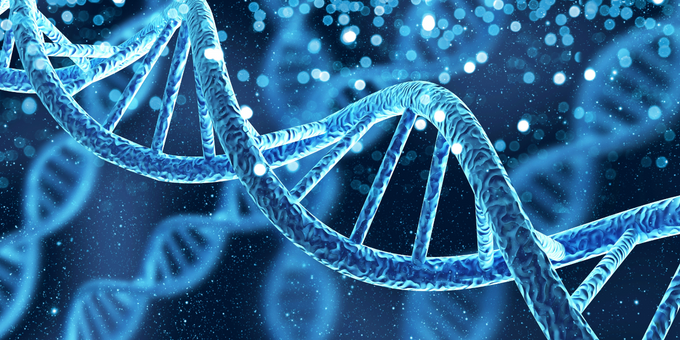 What the MTHFR is That Gene?!