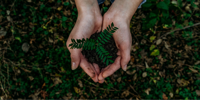 Our Top Picks for Bench Top Composting
