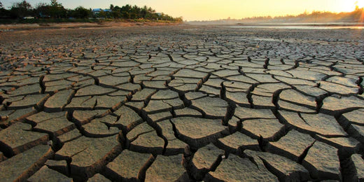 Hope For Health’s Jordan Ponder on the Chronic Disease Crisis