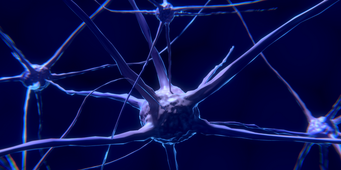 6 Common Triggers For Epilepsy
