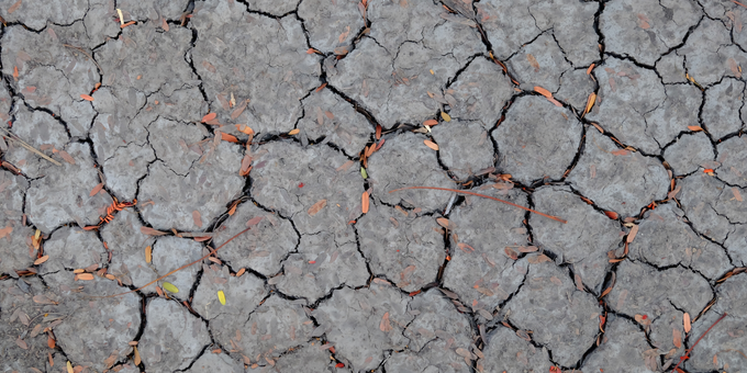 Scurvy, Spots and Swelling: The Signs of Vitamin C Deficiency