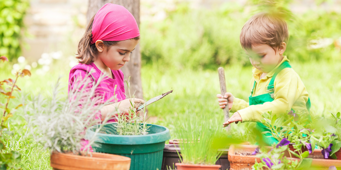 Lifely Founder’s Top 3 Tips to Get Your Kids Eating Their Veggies