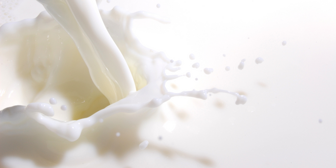 Your Guide to Sugar in Milk