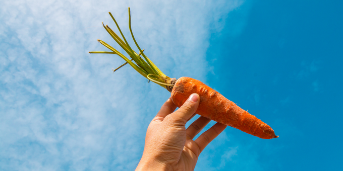 Orange is the New Snack