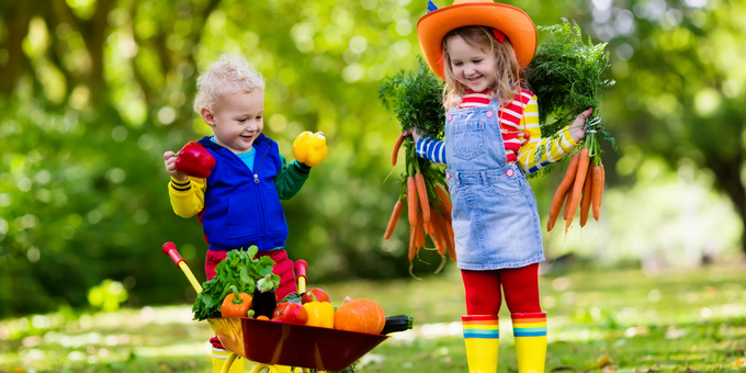 How to Support Your Children With Healthy Eating