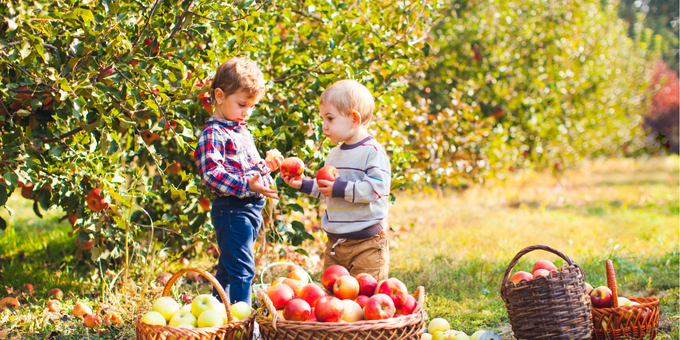 How to Reduce Your Child's Sugar Intake