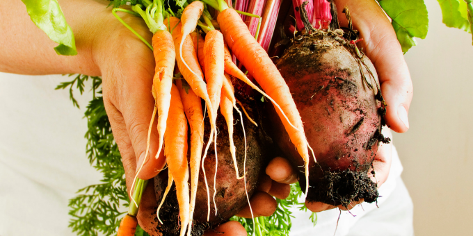 8 Foods You Can Easily Regrow From Kitchen Scraps