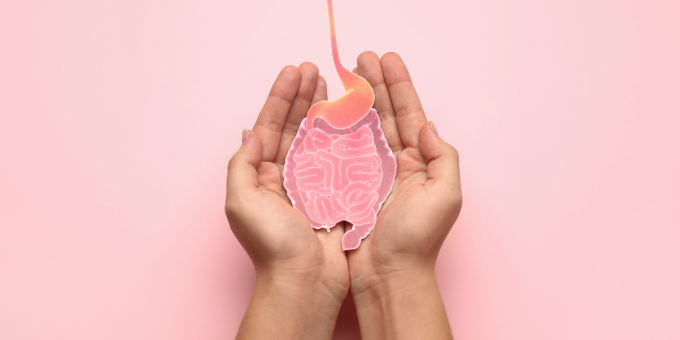 Why Sugar Destroys Gut Health – Plus the Simple Solution