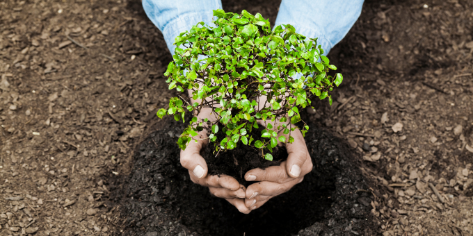 5 Practical Tips for a Productive Earth Day