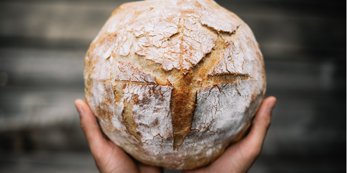 3 Reasons to Make Sourdough Your Go-To Bread