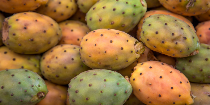 The 5 Liver-Boosting Benefits of Prickly Pear