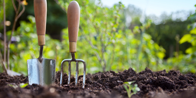 Gardening Naked: Scandalous or Secret Weapon?