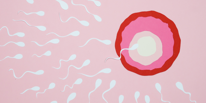 Fertility Foundations with ‘The Biomedical Naturopath’ Megan Haralampou