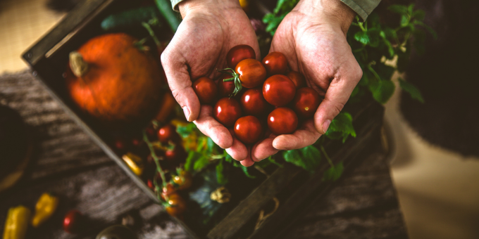 Organic vs. Biodynamic Farming: What’s the Difference?