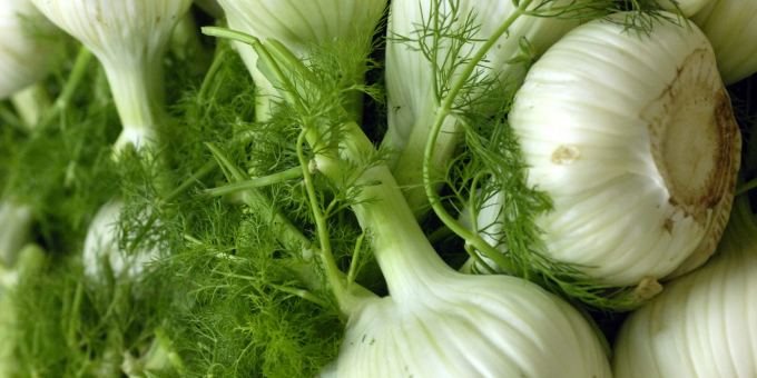 Fennel: Why We Love This Veggie + A Free Recipe