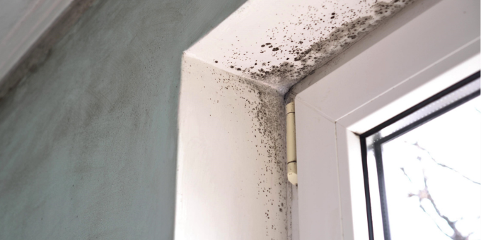 5 Toxins You’re Breathing in At Home + What You Can do About it
