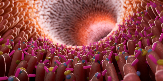 Trust Your Gut: Could Your Microbiome Predict Your Future?