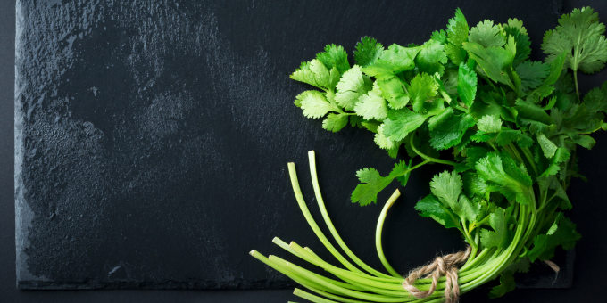 5 Chlorophyll-Rich Foods You Should Be Eating Every Day