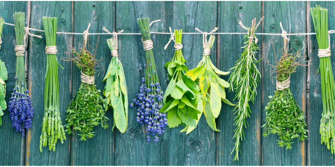 3 Cholesterol-Fighting Herbs You Need on Your Plate