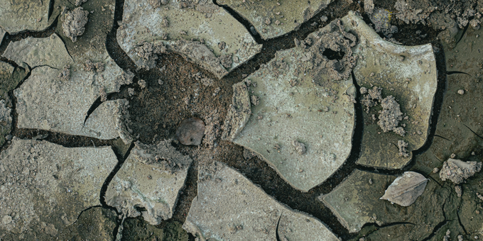 4 Common Causes of Fibromyalgia