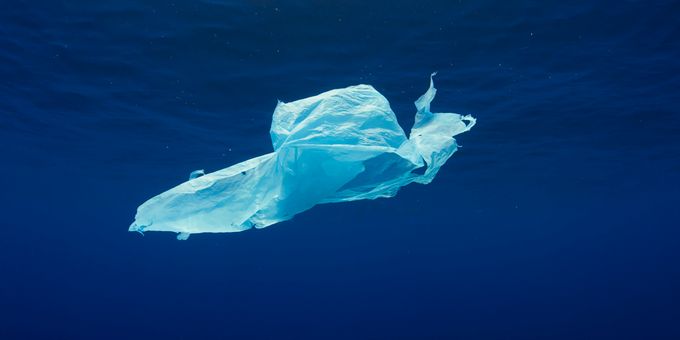 3 Easy Tricks to Living More Sustainability