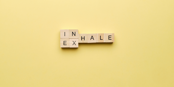 It’s a Gut Feeling: Optimising the Belly-Brain Axis