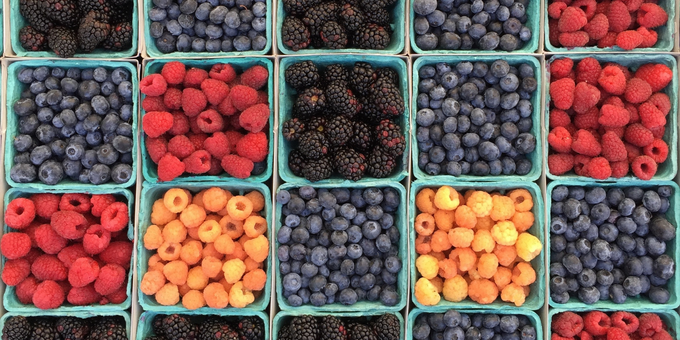 The Nordic Diet and Why Heidi Klum Lives By it