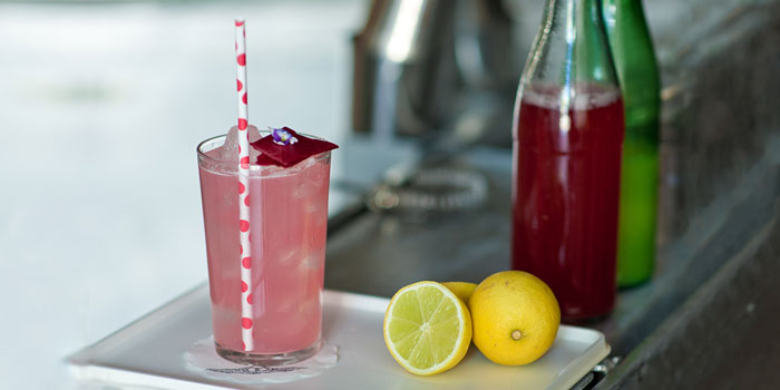 Rhubarb and Anise Myrtle Sugar-Free Mocktail