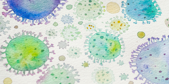 immune boosting foods