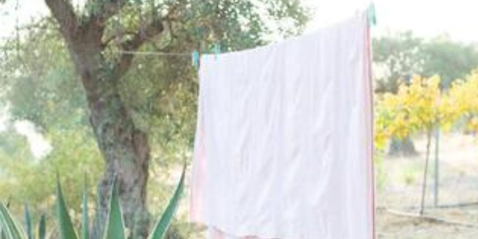 environmental toxins