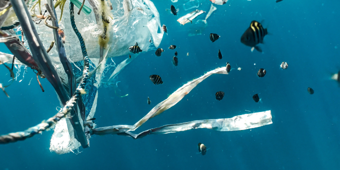 France Leads the Way in Waste Prevention