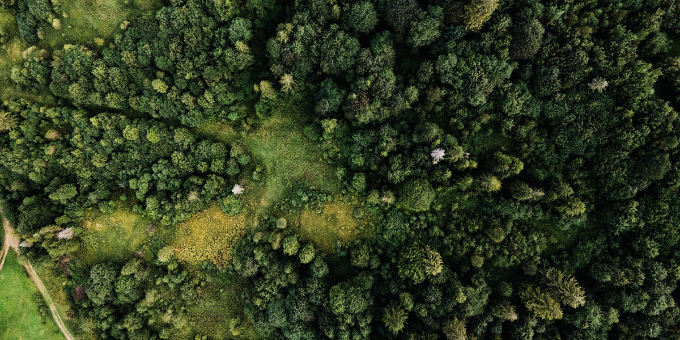 Tasmania Goes Carbon Negative in Australian First