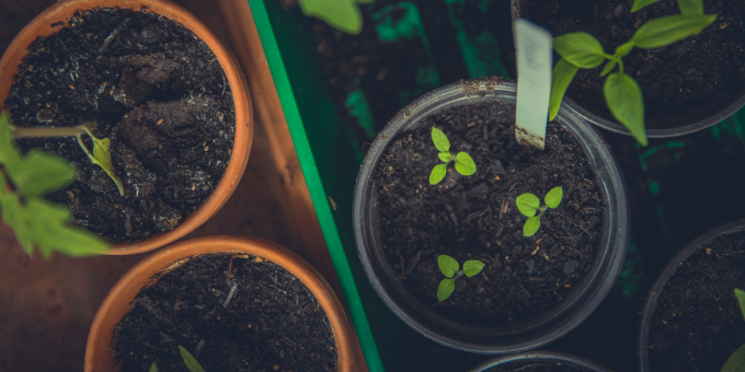 Your Guide to Composting