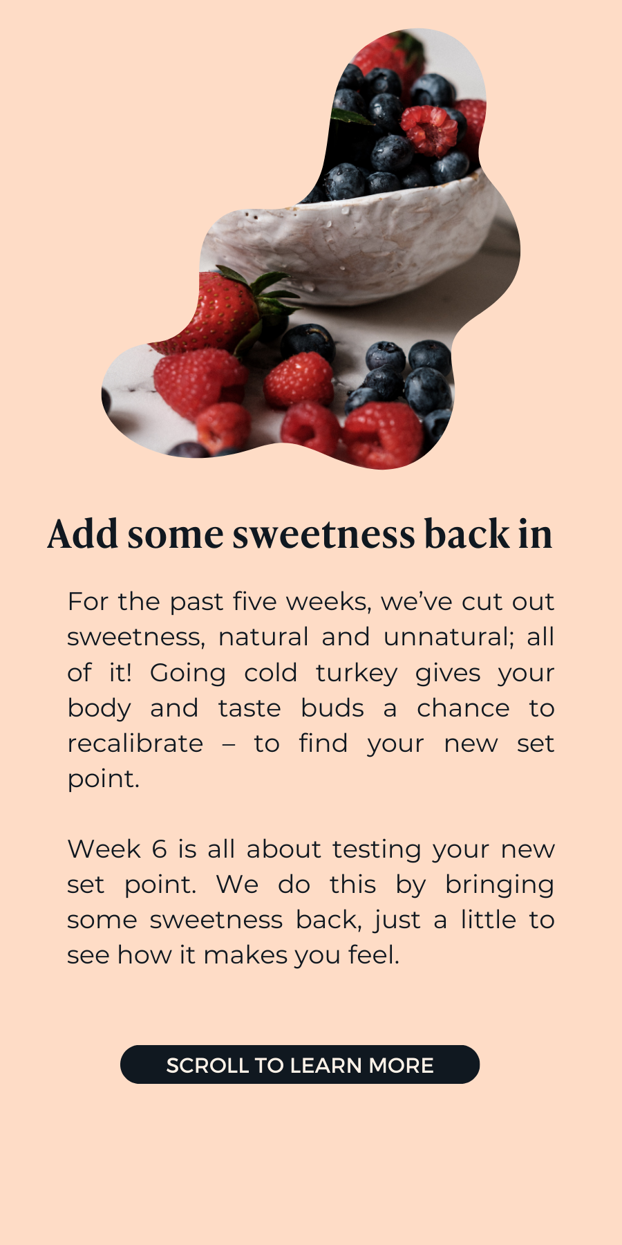 Week Six